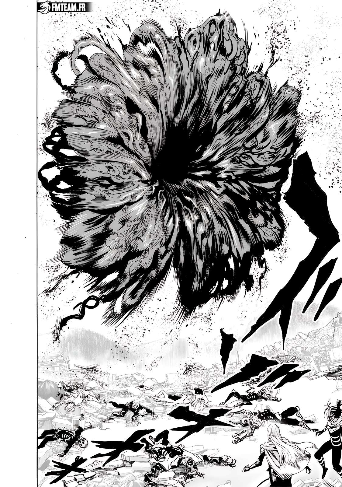 Read One Punch Man FR Manga Online