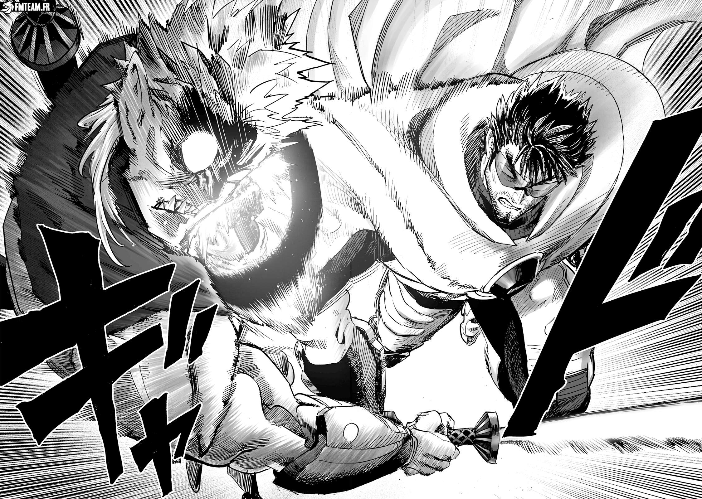 Read One Punch Man FR Manga Online