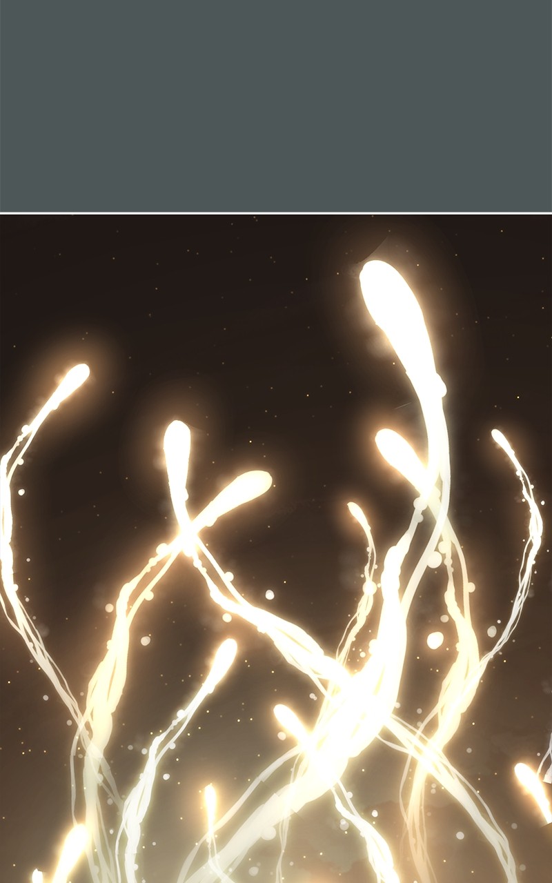 Read The Boy of Death FR Manga Online