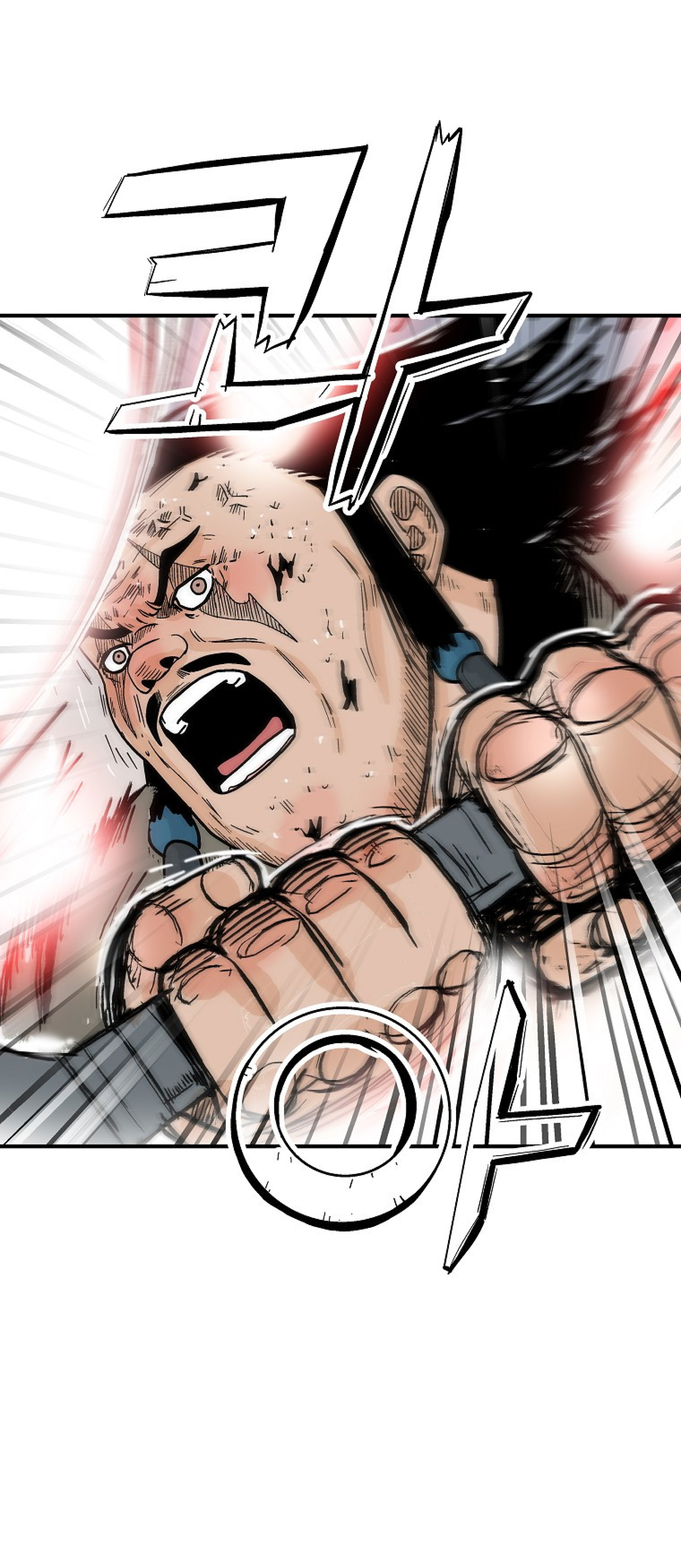 Read Fist Demon of Mount Hua TH Manga Online