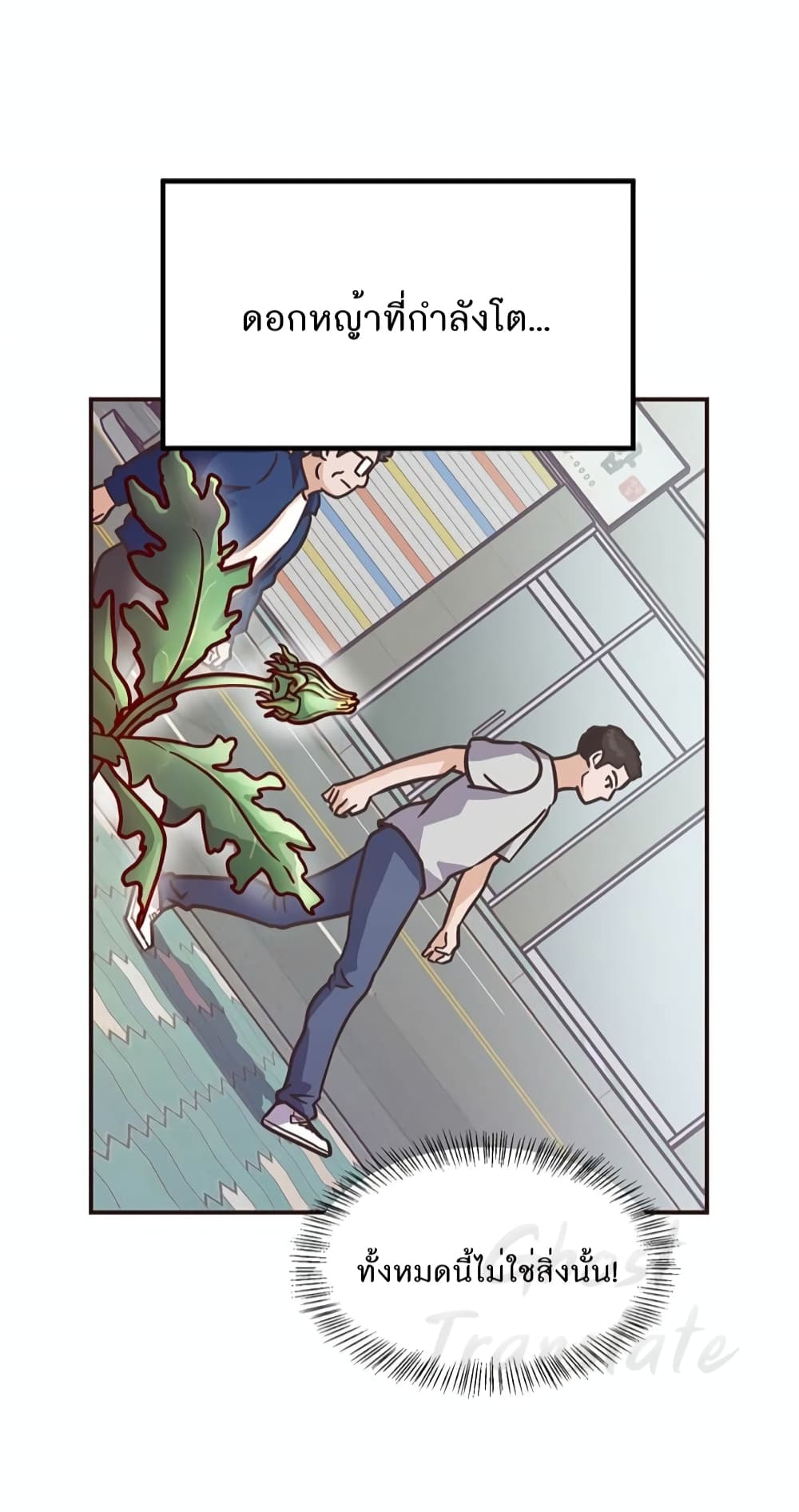 Read Martial Arts Bake TH Manga Online