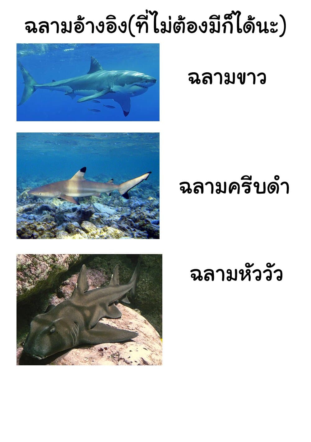 Read New Game! TH Manga Online